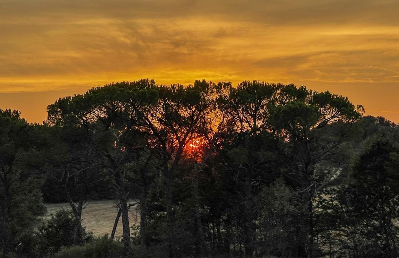 Exclusive Villa With Pool Borgo Pian Di Sala San Gimignano Esterno foto