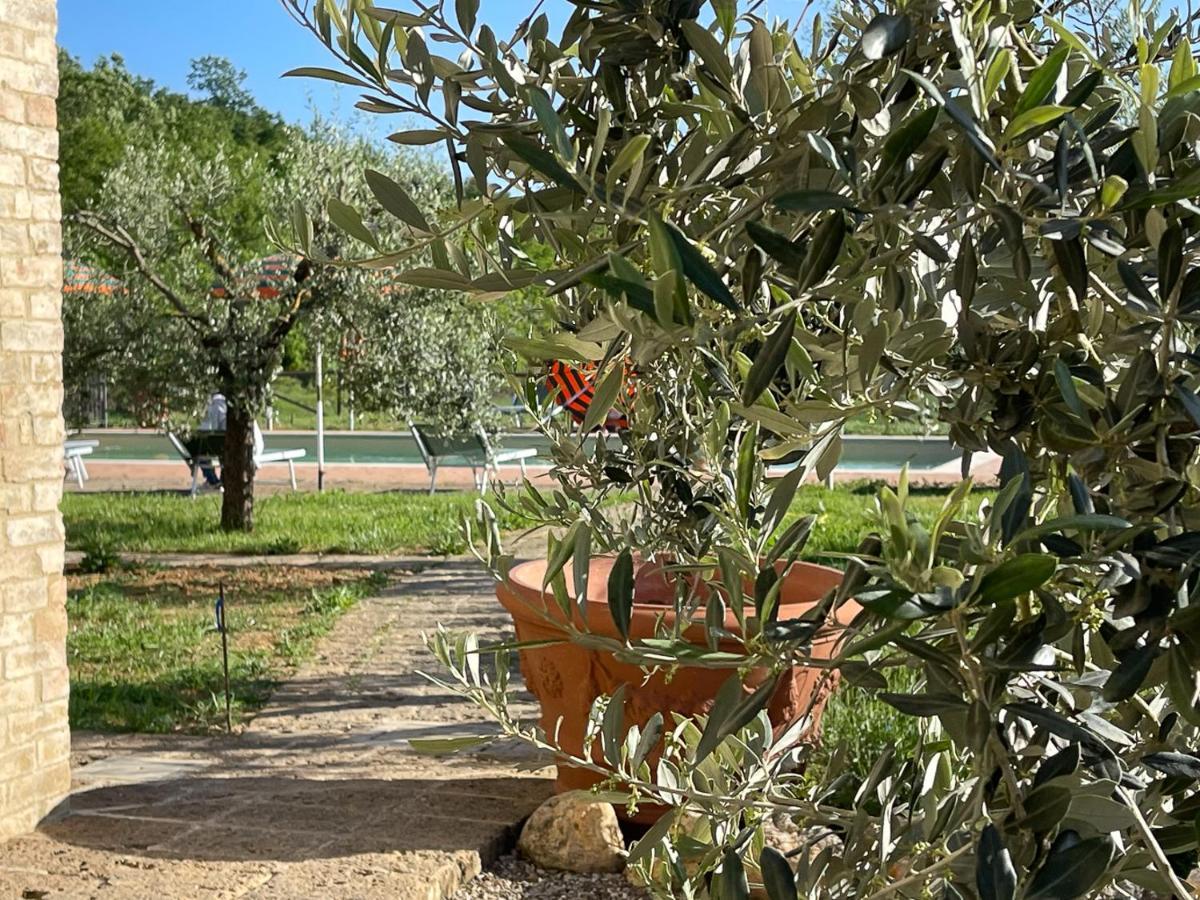 Exclusive Villa With Pool Borgo Pian Di Sala San Gimignano Esterno foto
