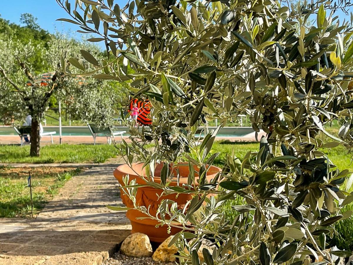 Exclusive Villa With Pool Borgo Pian Di Sala San Gimignano Esterno foto